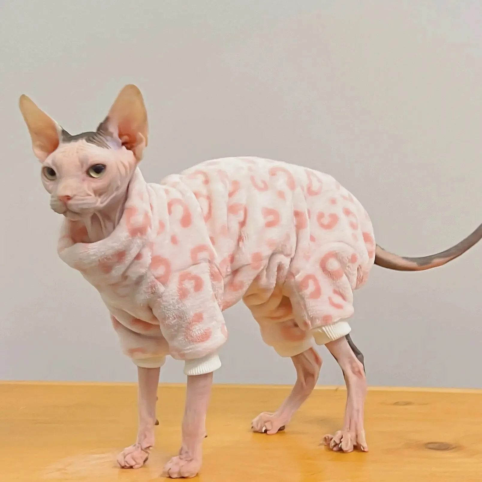 Fleece Coat for Sphynx Cat | Winter Warm High Neck 4-Legged Jumpsuit | Cozy Loungewear for Kittens & Devon Rex